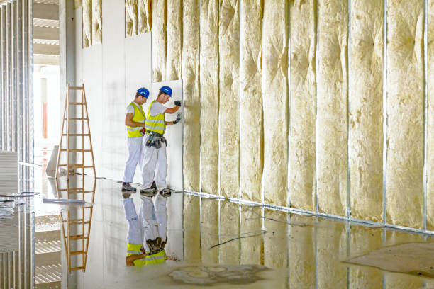 Reliable Bolivar Peninsula, TX Insulation Installation & Removal Solutions